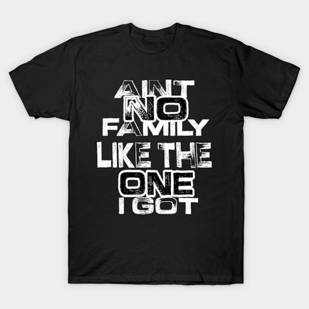 Aint No Family Like the One I Got T-Shirt by TshirtMA